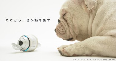 20070910_rolly.jpg