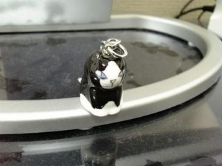 20060820_2.JPG